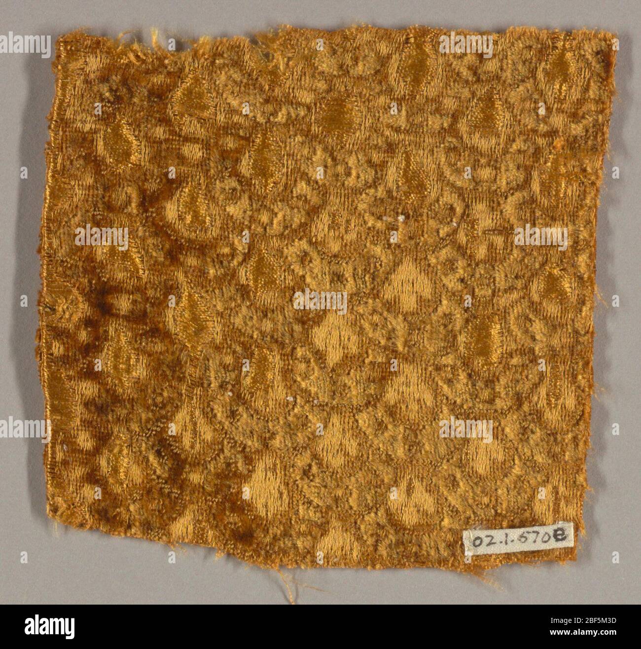 Fragments. Modèle imbriqué ou à l'échelle du poisson en jaune brunâtre Banque D'Images