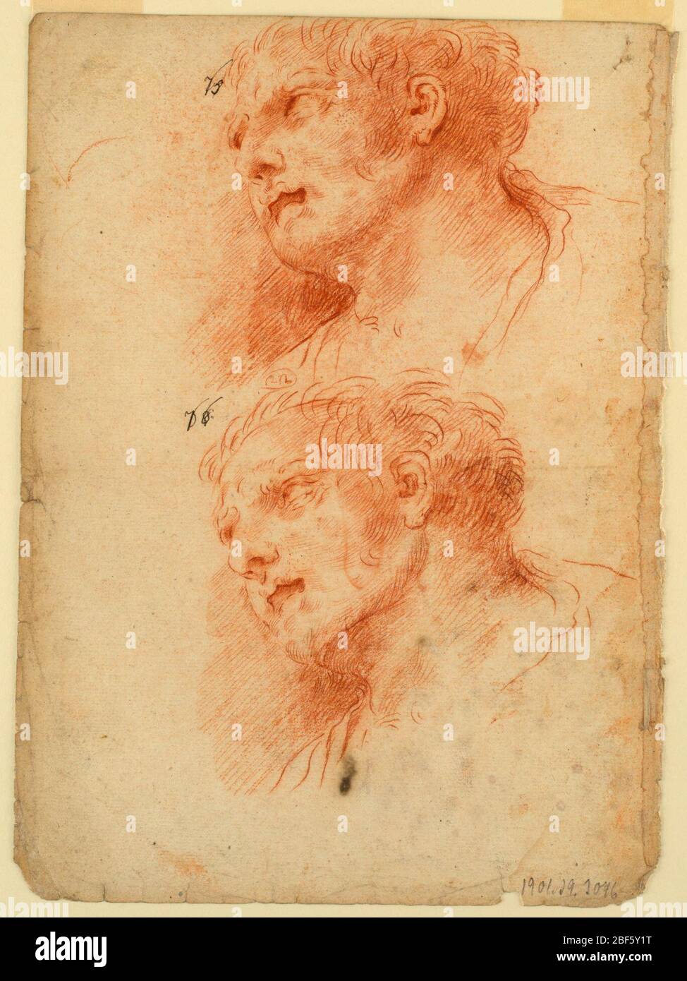Quatre études après le chef d'un homme. Rectangle vertical. De chaque côté du papier se trouvent deux têtes, l'une sous l'autre. La tête est illustrée par le dessous presque comme profil, tournée vers la gauche. La bouche est ouverte. À côté de chaque tête, un numéro est écrit pour corriger un précédent. Banque D'Images