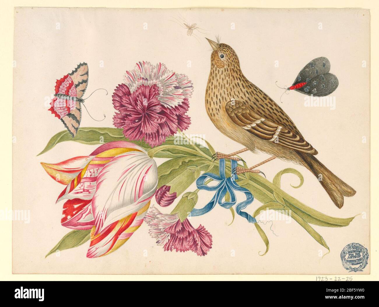 Oiseau avec papillons et insectes tulipes. Bouquet de deux œillets et d'une tulipe liée par un ruban bleu; oiseau perché sur tulipe; papillons et insectes volent au-dessus. Banque D'Images