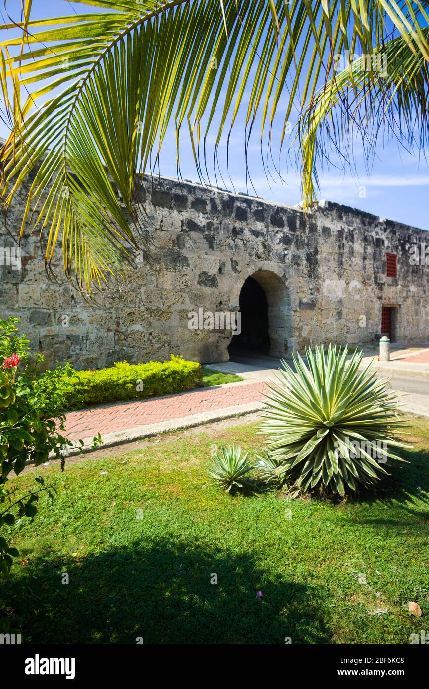 Les murs de Carthagène et la végétation luxuriante des Caraïbes, des palmiers et de la vieille ville Banque D'Images