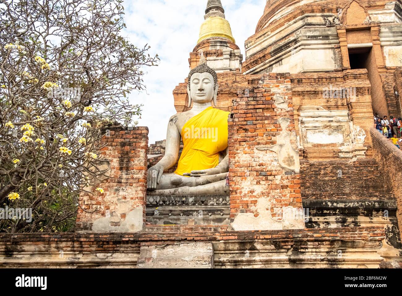 Statues de Bouddha en face de Stupa de Wat Yai Chai Mongkhon, Ayutthaya, Thaïlande Banque D'Images