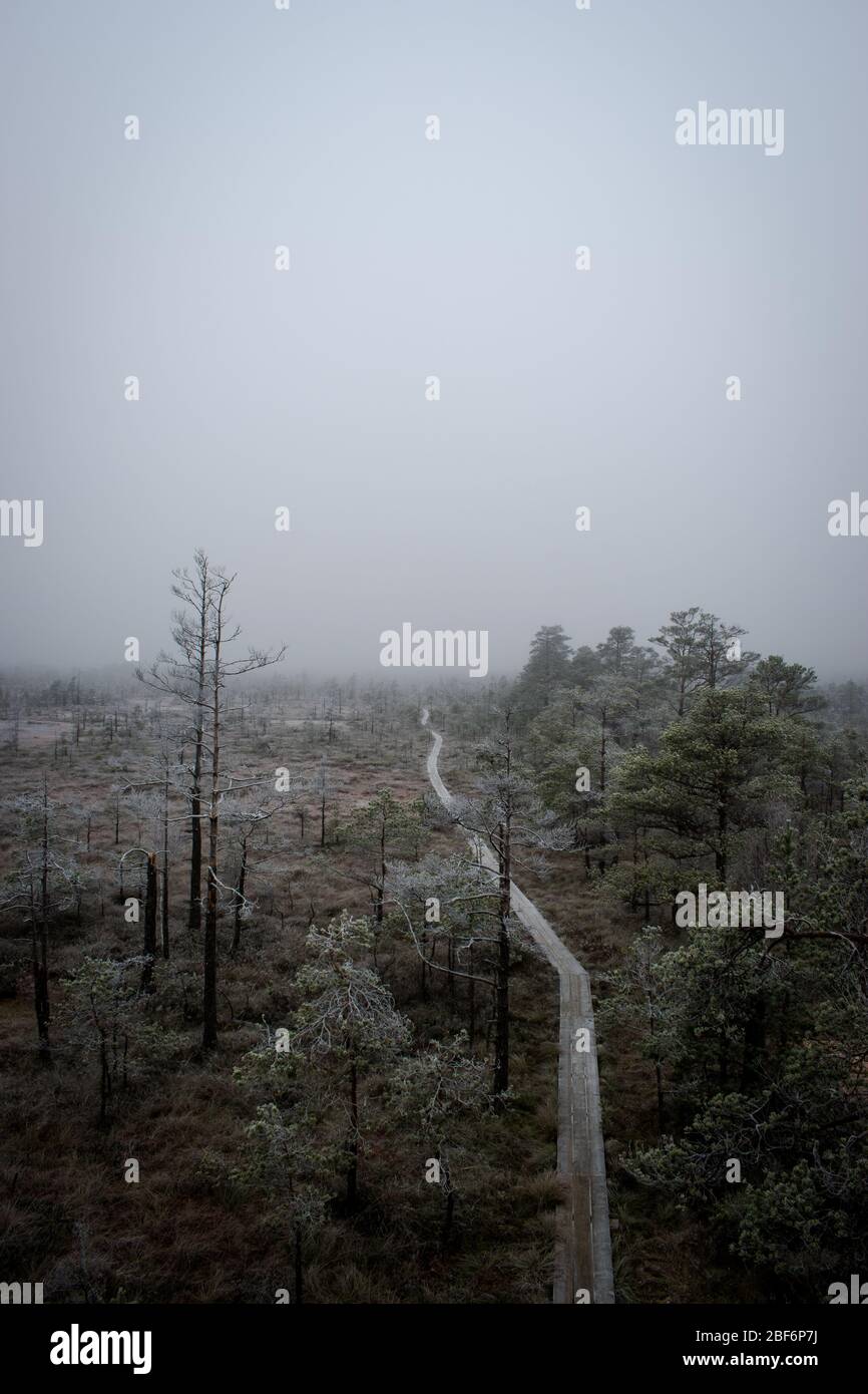 Des planches de bois glaciales traversent la magnifique couronne lettone mystique Banque D'Images