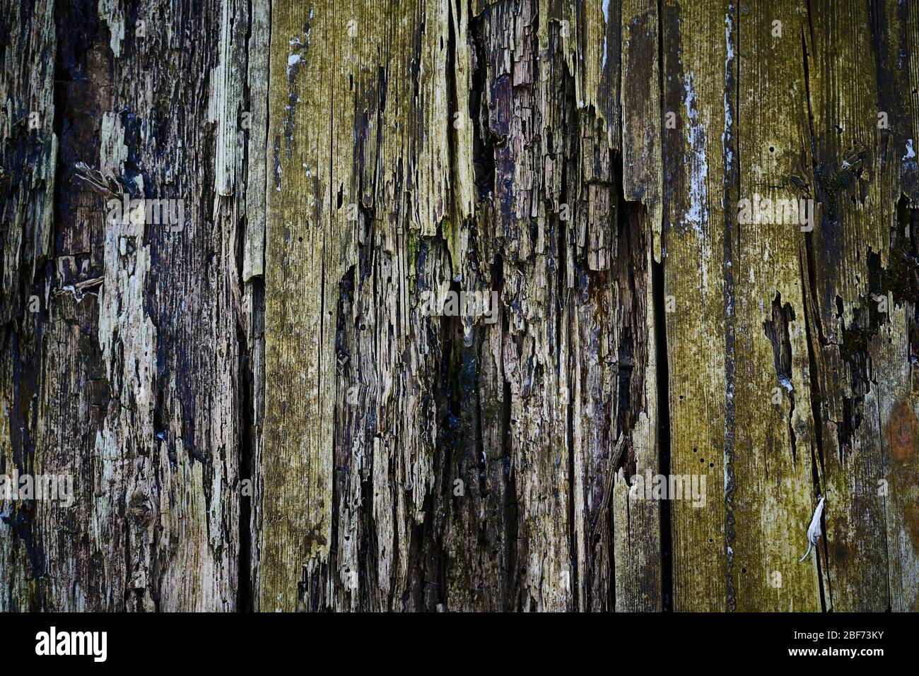 Ancienne texture de bois pour toile de fond, Rotten, décpit, toile de fond en bois pourrie Banque D'Images