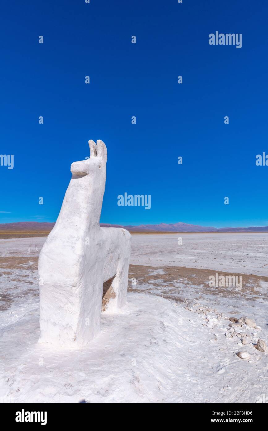 Salinas grandes le long de la N52, à l'est de Suques, région de Puna, montagnes des Andes à haute altitude (3 400 m), Argentine, Amérique latine Banque D'Images Salinas grandes le long de la N52, à l'est de Suques, région de Puna, montagnes des Andes à haute altitude (3 400 m), Argentine, Amérique latine Banque D'Images