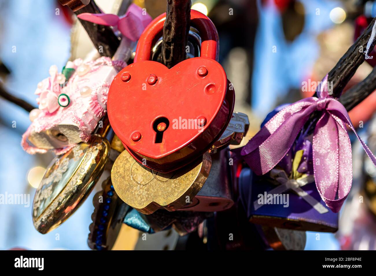 Arbre De Mariage Banque d'image et photos - Alamy
