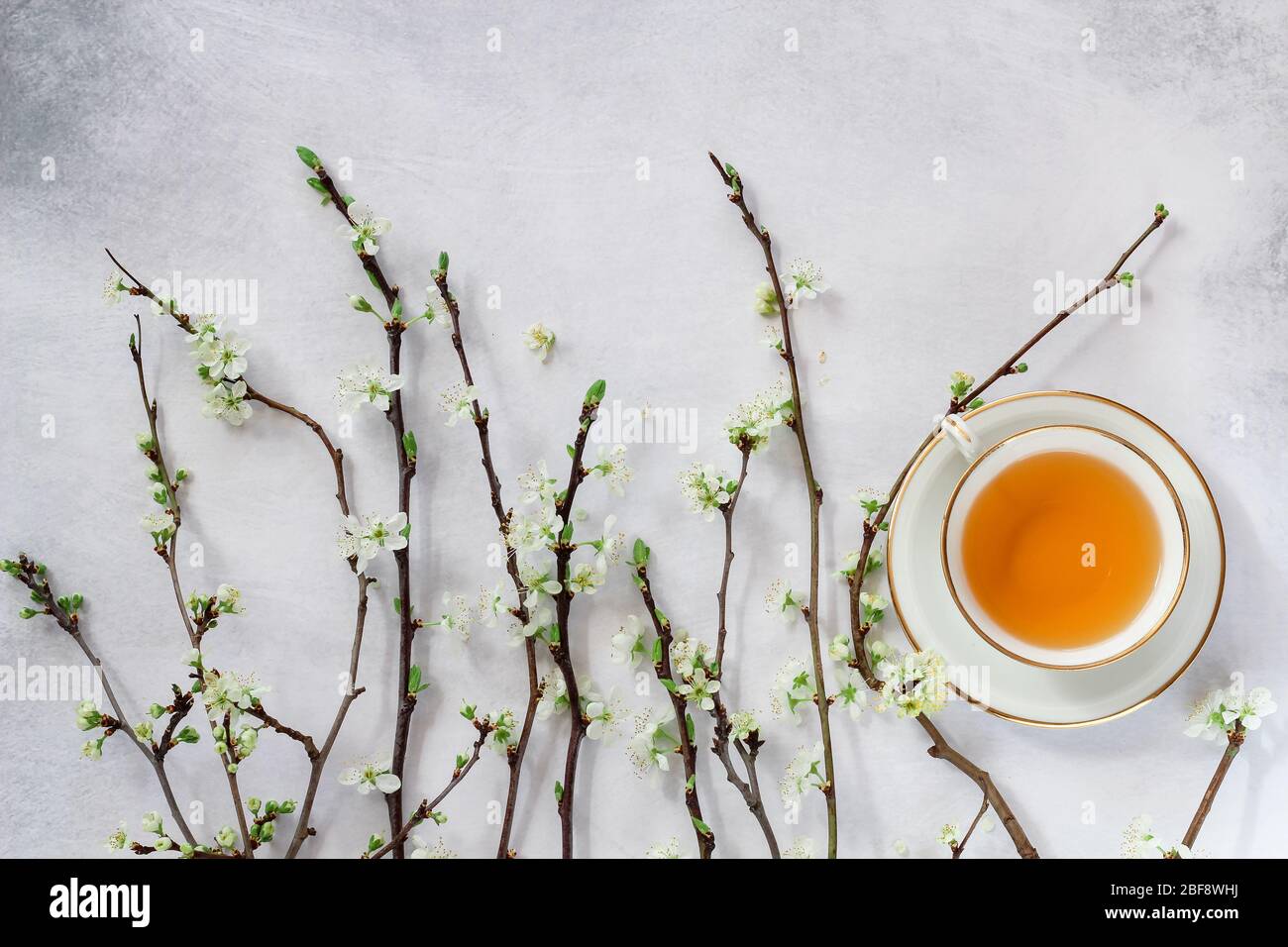 Platlay à la mode printemps avec branches fleuris de prune et une tasse de thé Banque D'Images