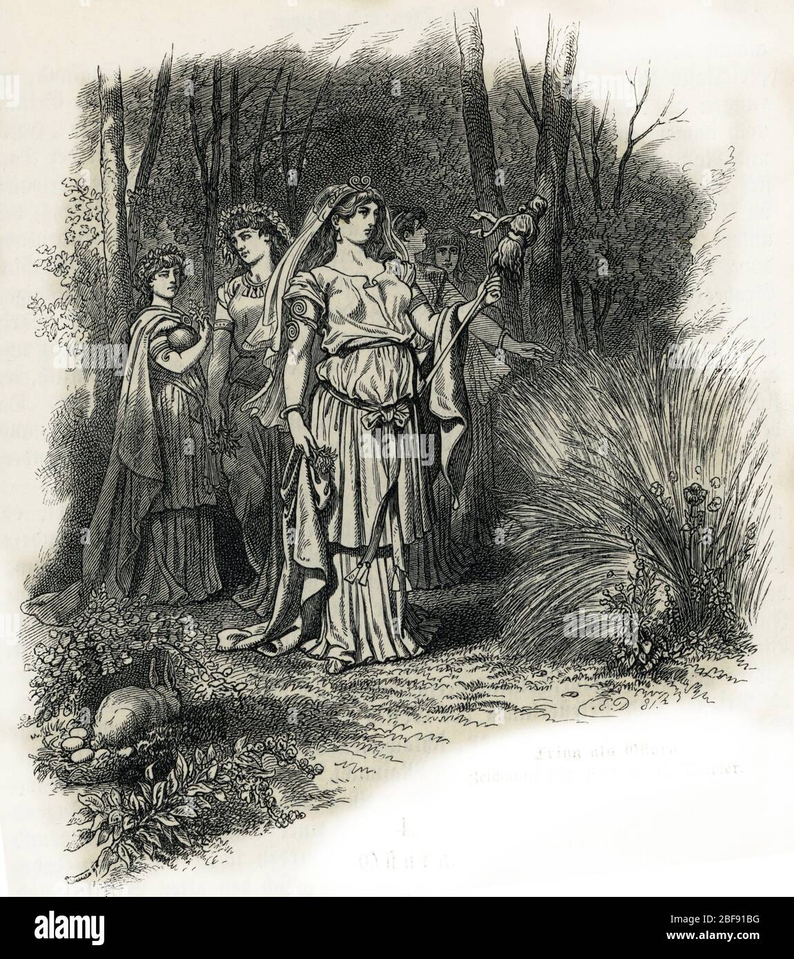 Mythologie nordique : la deesse Frégg sous les traits d'Ostara (mythologie norsse : Frégg (Freja ou Frea ou frégate) comme Ostara Gravure tiree de 'Nordisch- Banque D'Images