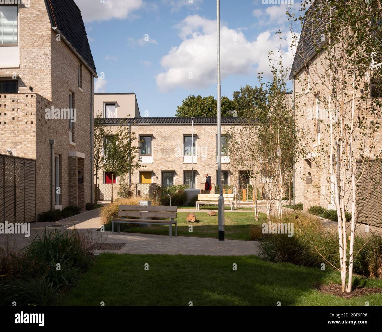 Vue depuis la cour paysagée. Goldsmith Street, Norwich, Royaume-Uni. Architecte: Mikhail Riches, 2019. Banque D'Images