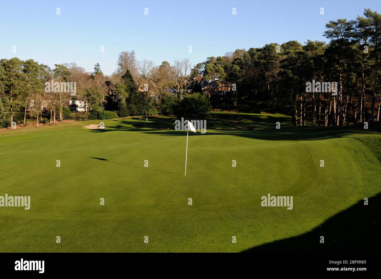 Vue de la 2ème Green de retour vers le Tee et la 1ère Green, Camberley Heath Golf Club, Camberley, Surrey, Angleterre Banque D'Images