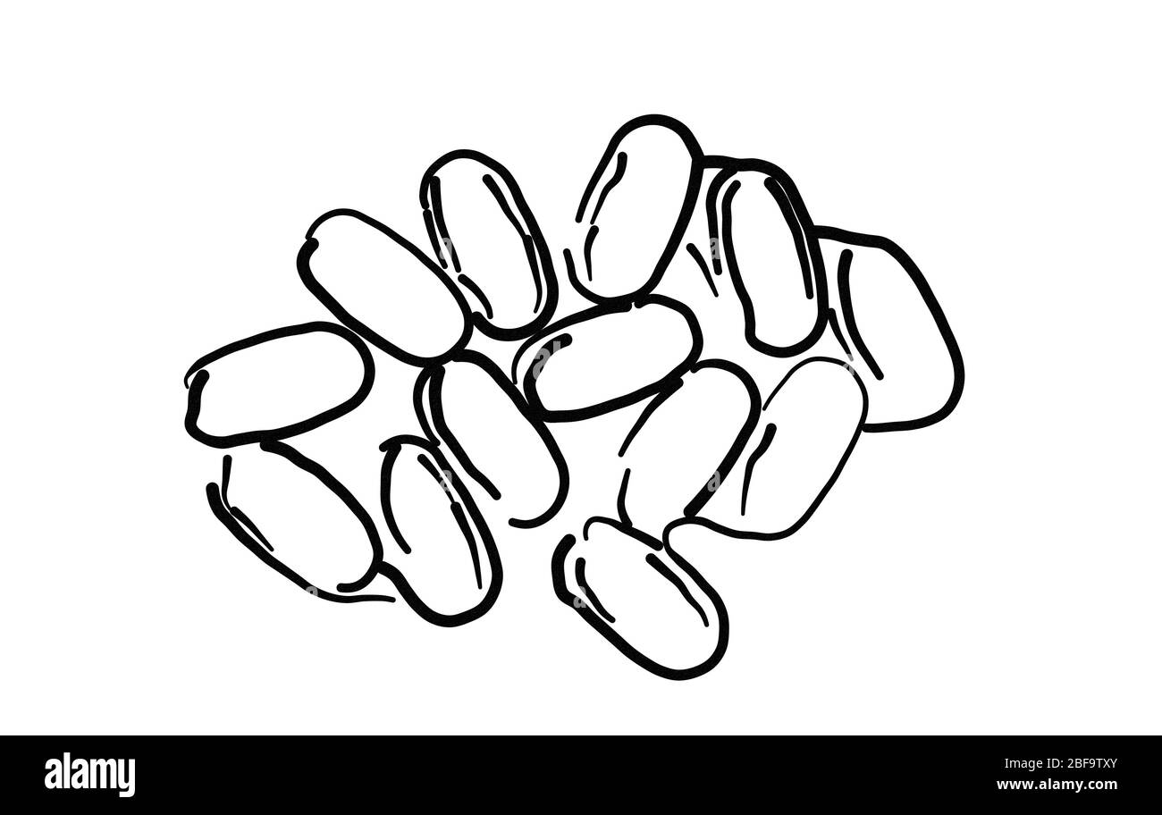 Illustration esquisse de pilules médicales sur fond blanc.esquisse noire de produits chimiques de vitamine sur fond vide Banque D'Images