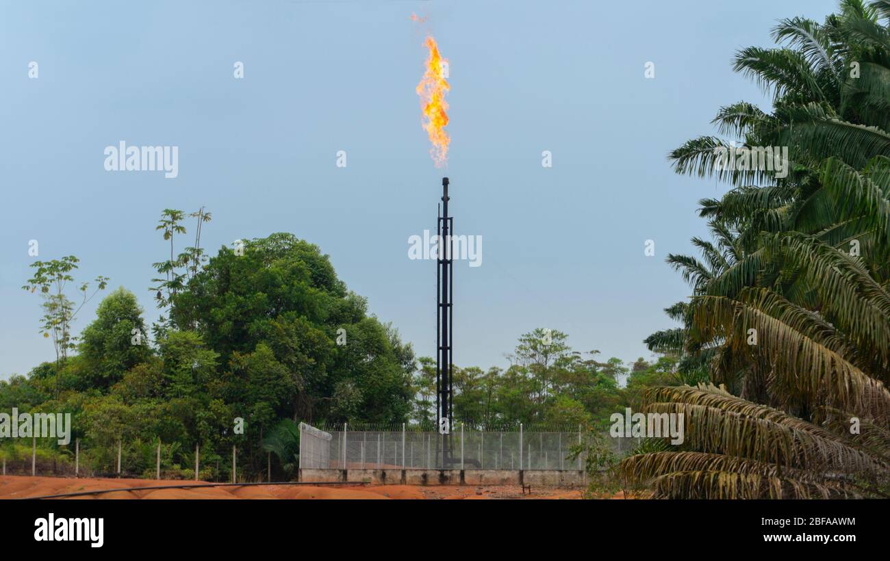 Vue avant de la tour d'un puits de gaz naturel dans la production de gaz brûlant sur le dessus au milieu de la jungle à Putumayo - Colombie Banque D'Images