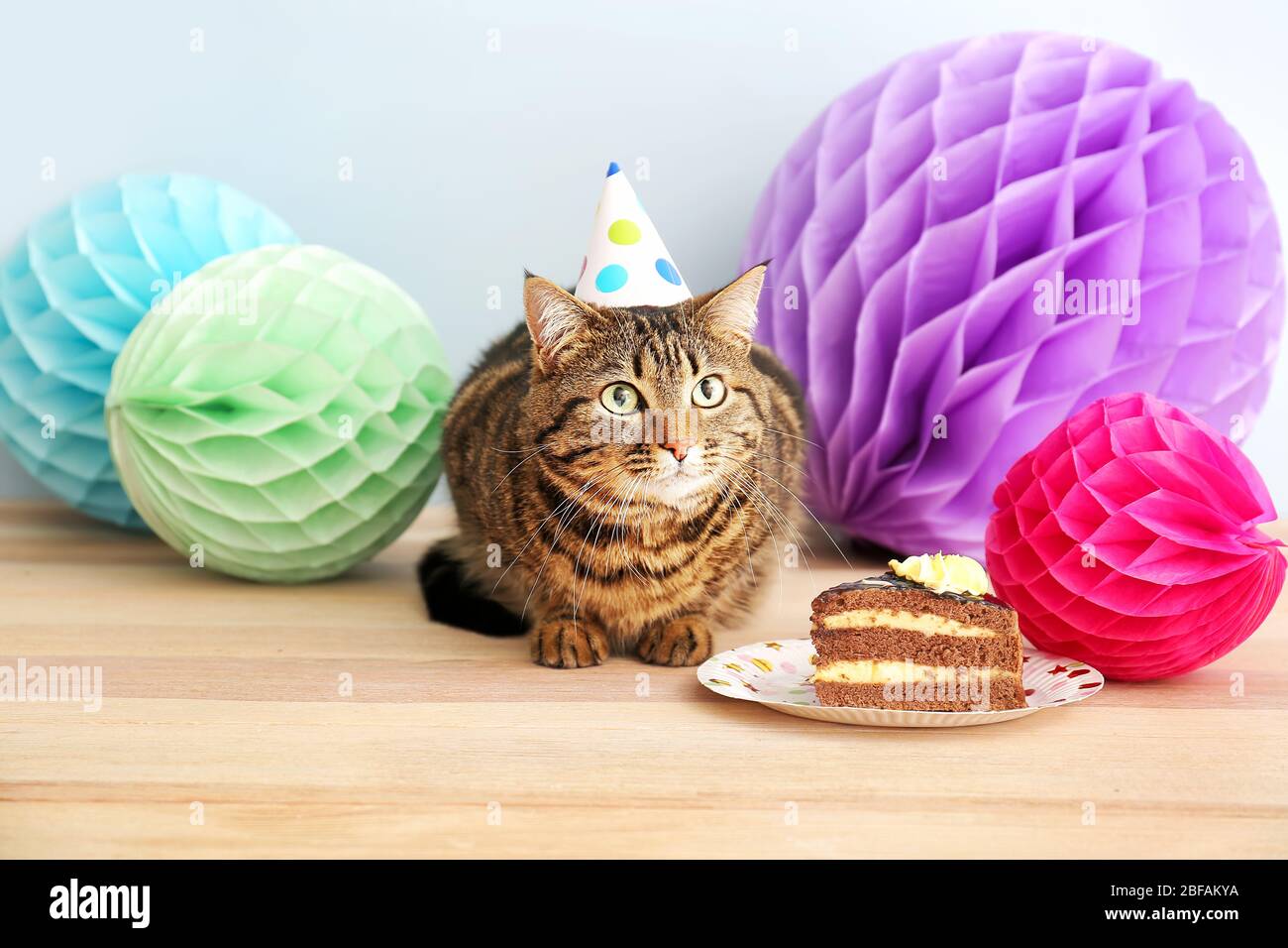 Chat Mignon Dans Le Chapeau De Fete Et Avec Gateau D Anniversaire A La Maison Photo Stock Alamy