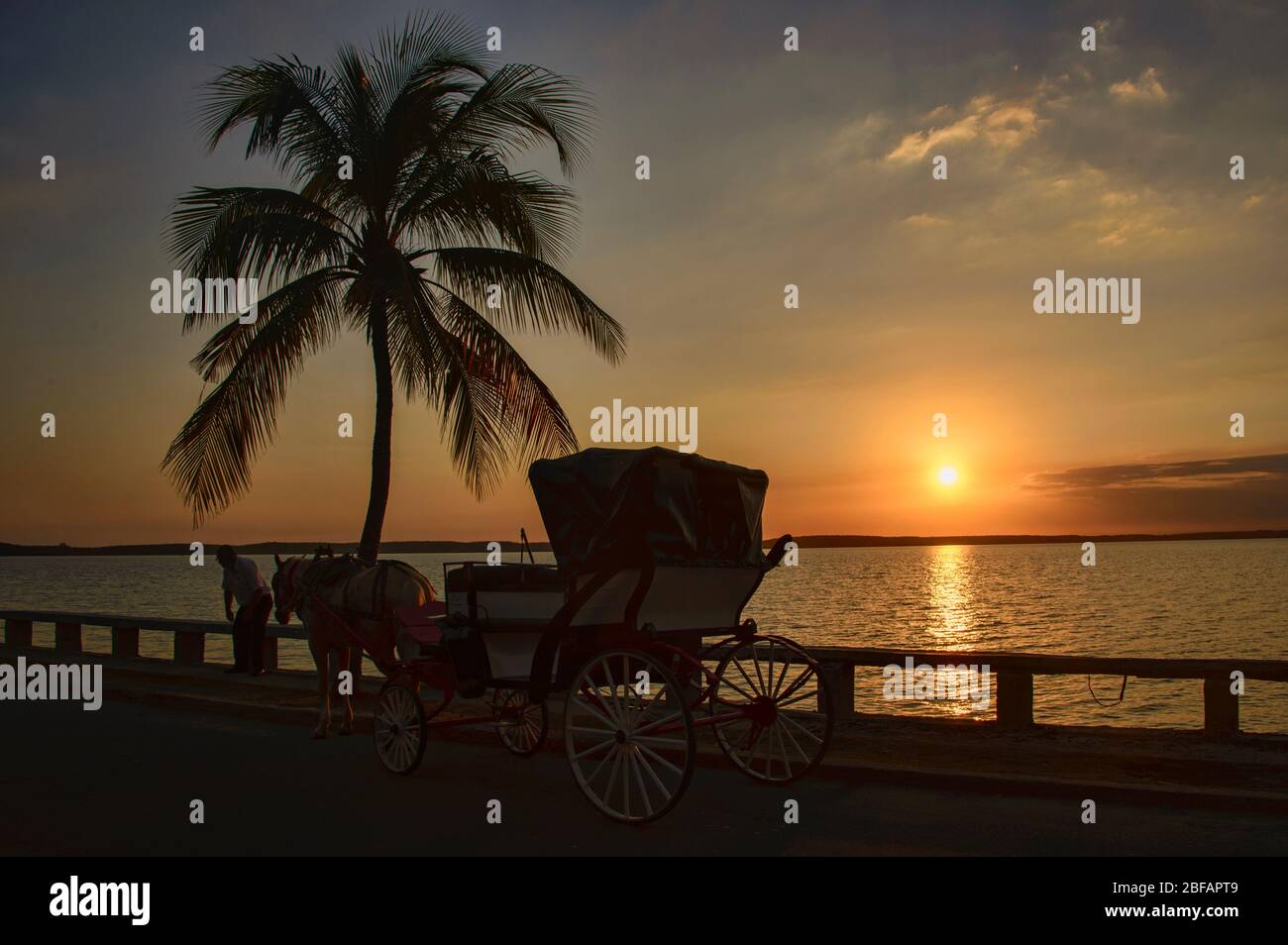 Voiturette à cheval au coucher du soleil, Punta Gorda, Cienfuegos, Cuba Banque D'Images