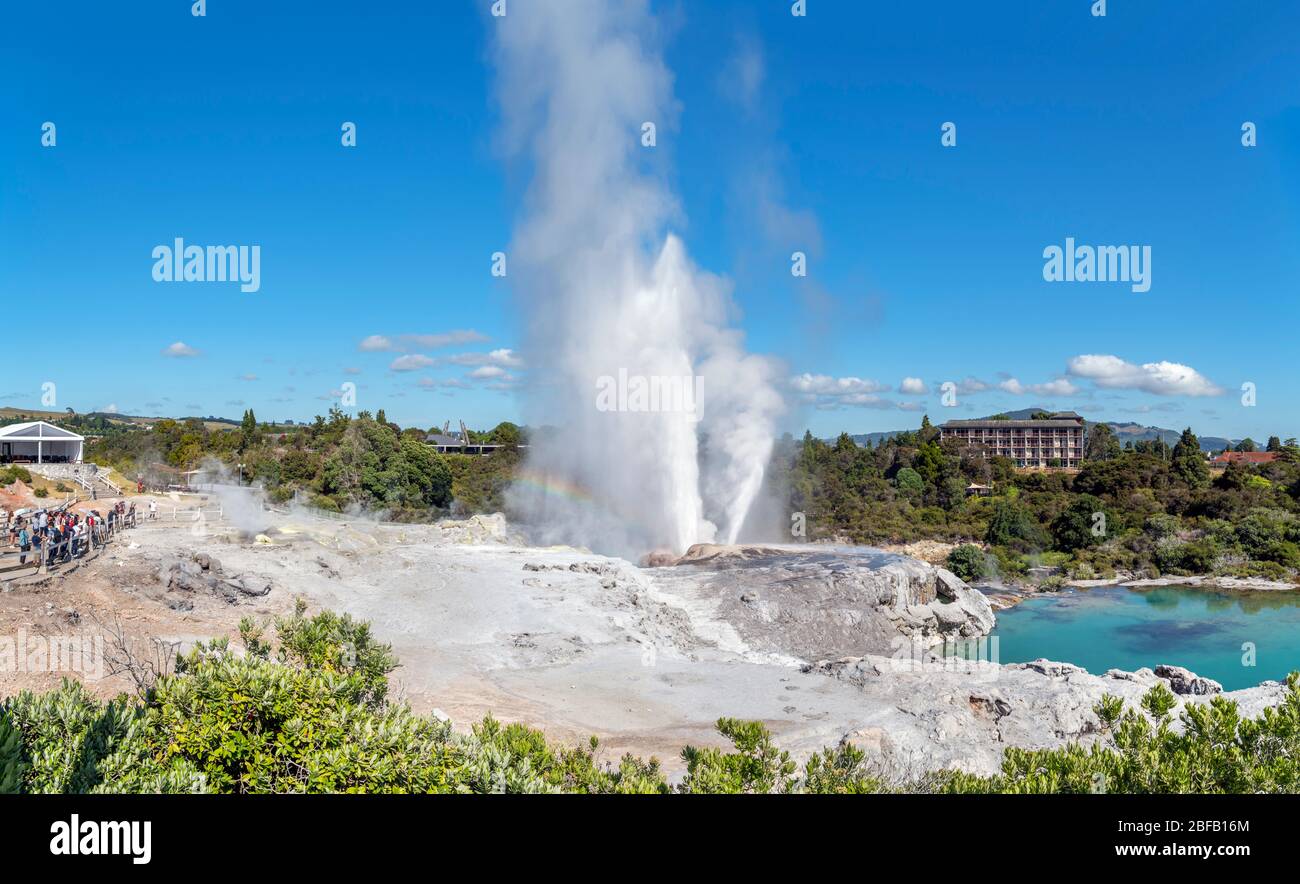 Pōhutu Geyser, te Puia, te Whakarewarewa Geothermal Valley, Rotorua, Nouvelle-Zélande Banque D'Images