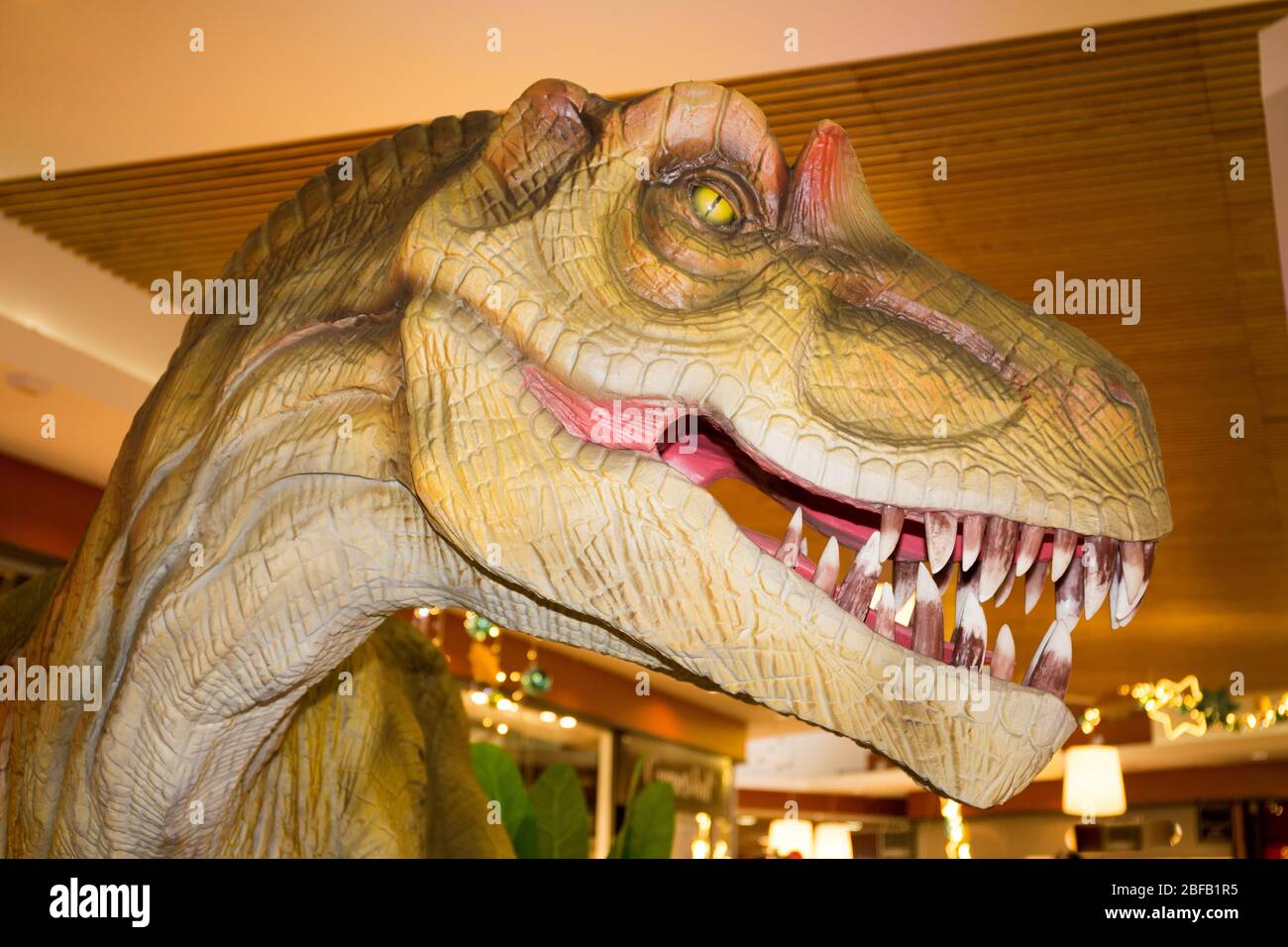 un dinosaure isolé dans le vieux musée Banque D'Images