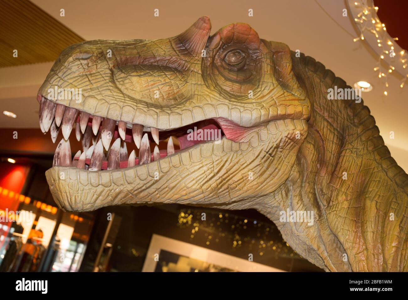 dans le musée trex dinosaure avec grand visage Banque D'Images
