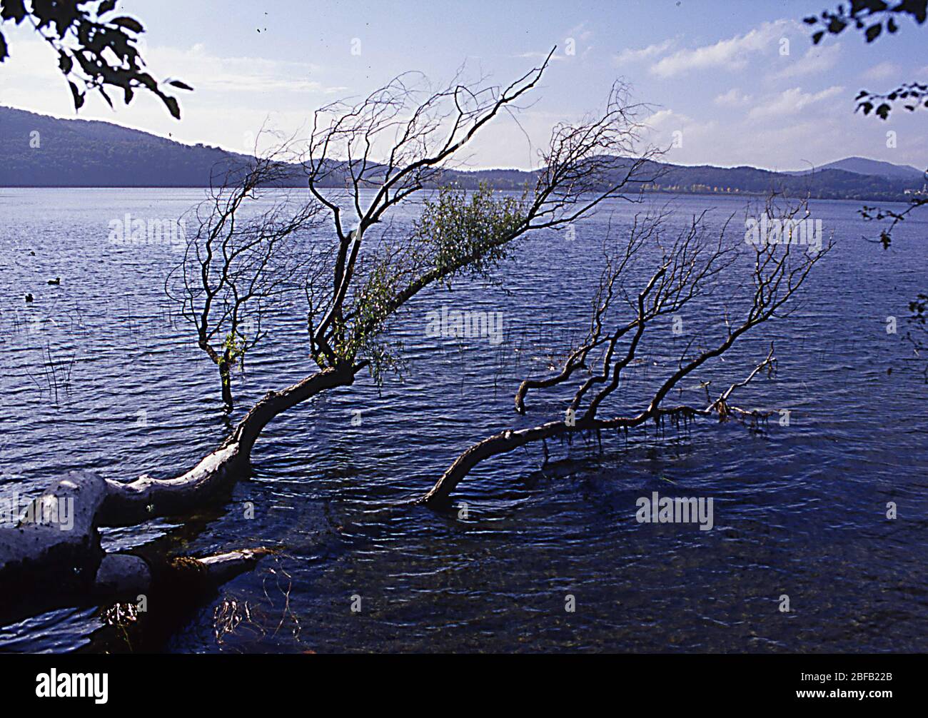 Laacher Voir la zone de la banque avec des bulles de méthane Banque D'Images