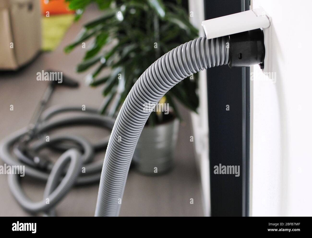 Gros plan du tuyau d'aspirateur central branché à la prise d'entrée murale. Vue dans la chambre avec aspirateur central. Banque D'Images