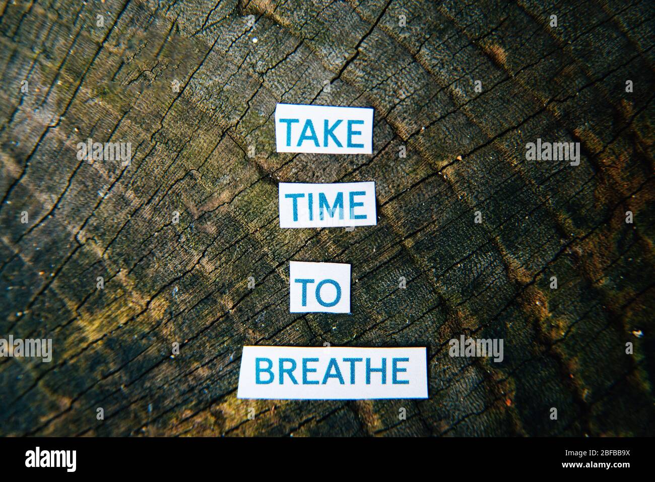 Les Mots De Gros Plan Prennent Le Temps De Respirer Sur Fond De Bois Le Coronavirus A Verrouille La Citation De Sante Mentale Anxieux Relaxation Meditation De Yoga Photo Stock Alamy Les Mots De Gros Plan Prennent Le Temps De Respirer Sur Fond De Bois Le Coronavirus A Verrouille La Citation De Sante Mentale Anxieux Relaxation Meditation De Yoga Photo Stock Alamy