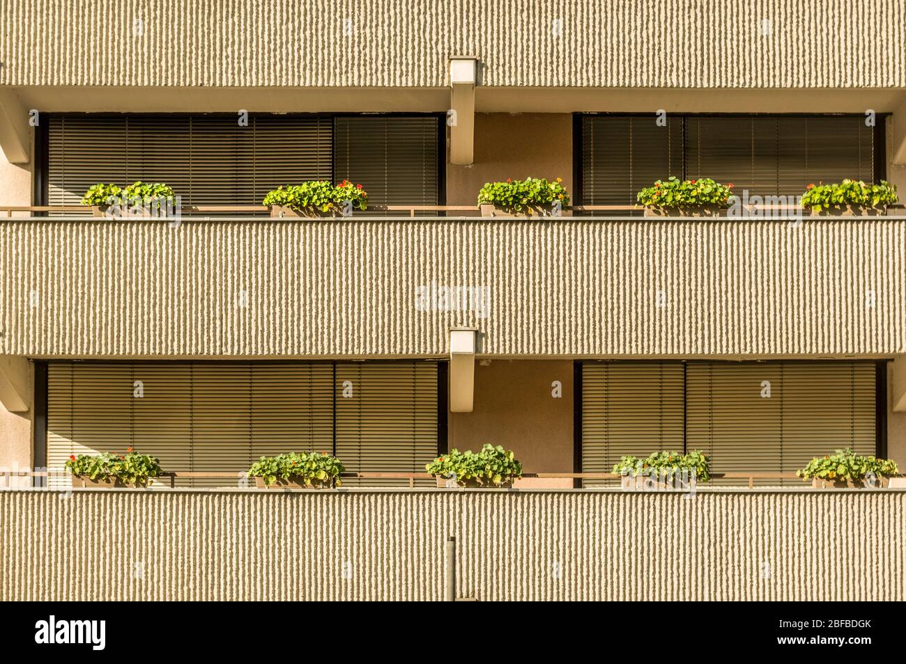 Façade maison résidentielle avec balcons grandes fenêtres et stores solaires arrangements de fleurs Banque D'Images