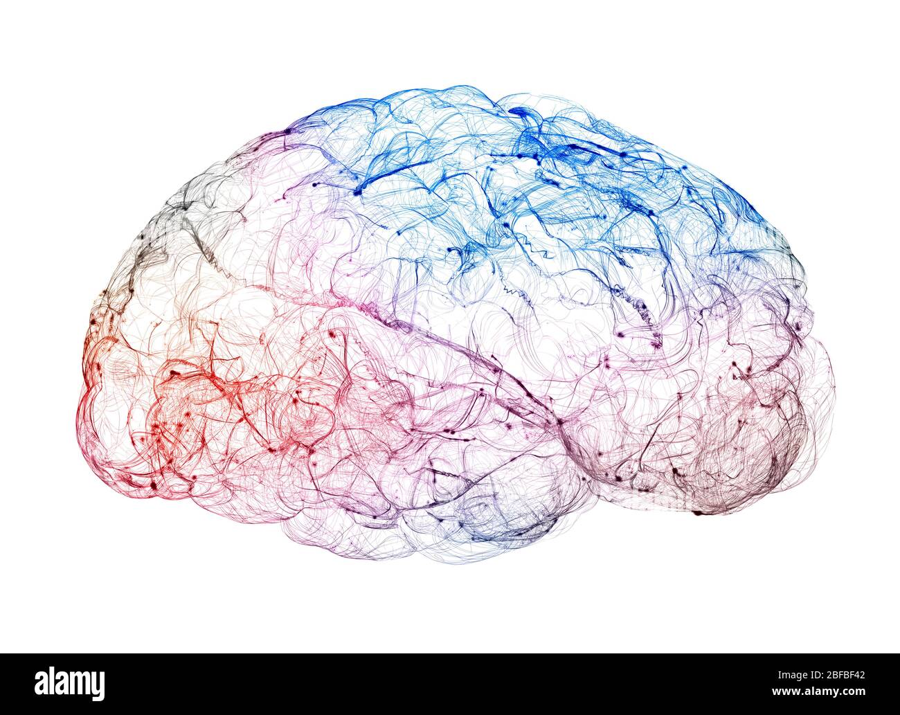 Vue des synapses. Connexions cérébrales. Neurones et synapses ...