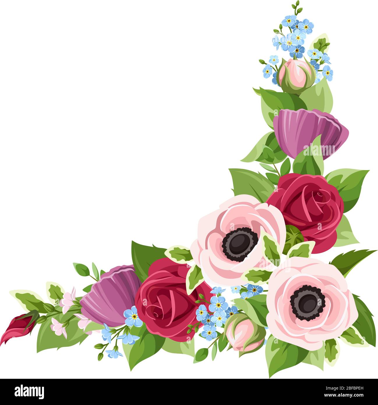 Élément décoratif de coin vectoriel avec des anémones rouges, roses, pourpres et bleues, des roses et des fleurs oubliées-me-pas isolées sur un fond blanc. Illustration de Vecteur