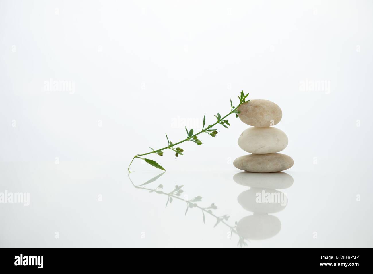 blanc trois pierres pile avec plante verte encore vie dans le concept spirituel de santé de bien-être zen Banque D'Images