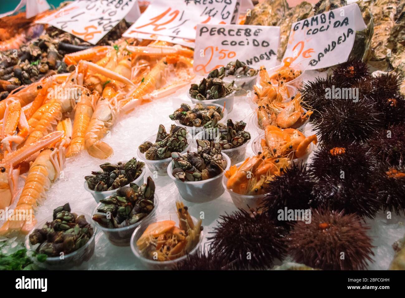 Une variété de fruits de mer (crevettes, moules, palourdes, oursins) dans un marché aux poissons de Valence, Espagne (Mercado de Colon) Banque D'Images