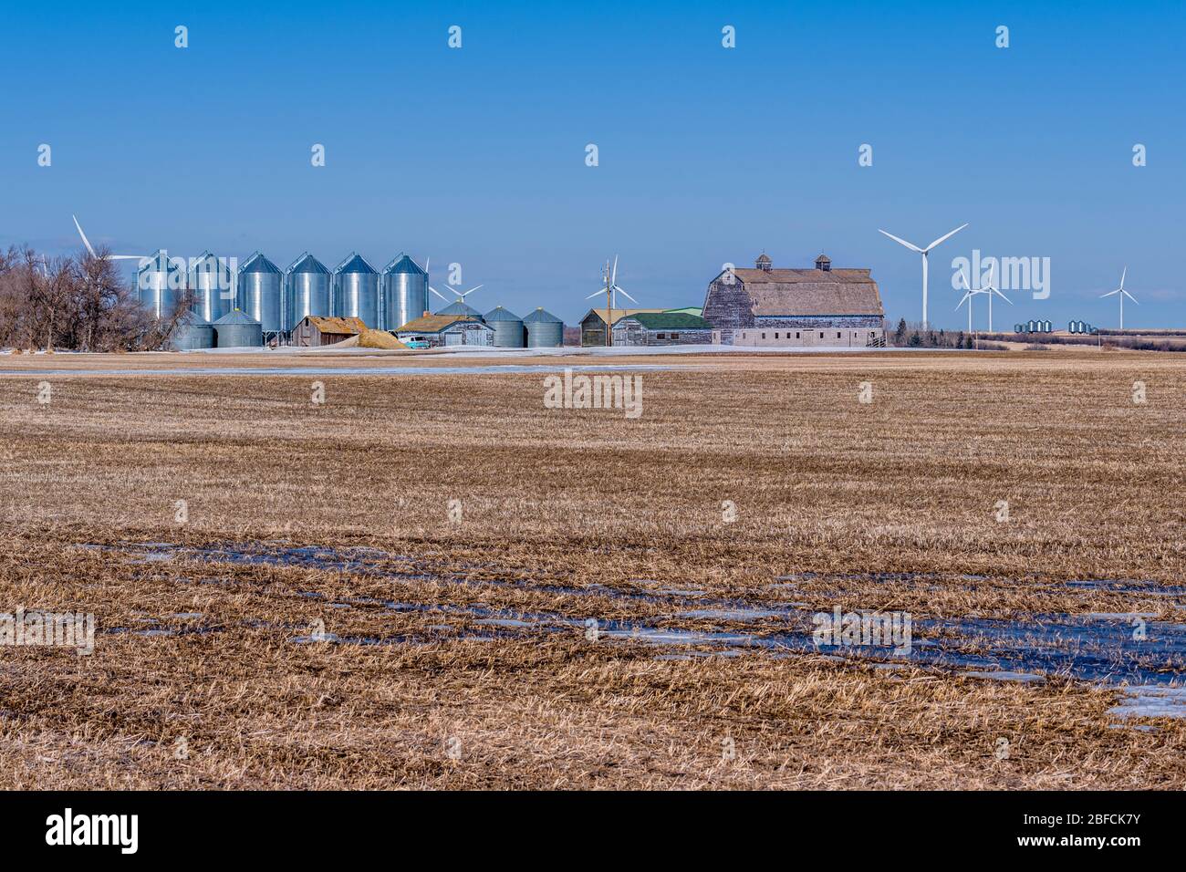 Champ et ferme avec des bacs à céréales et une grande grange ancienne entourée d'éoliennes en Saskatchewan, Canada Banque D'Images
