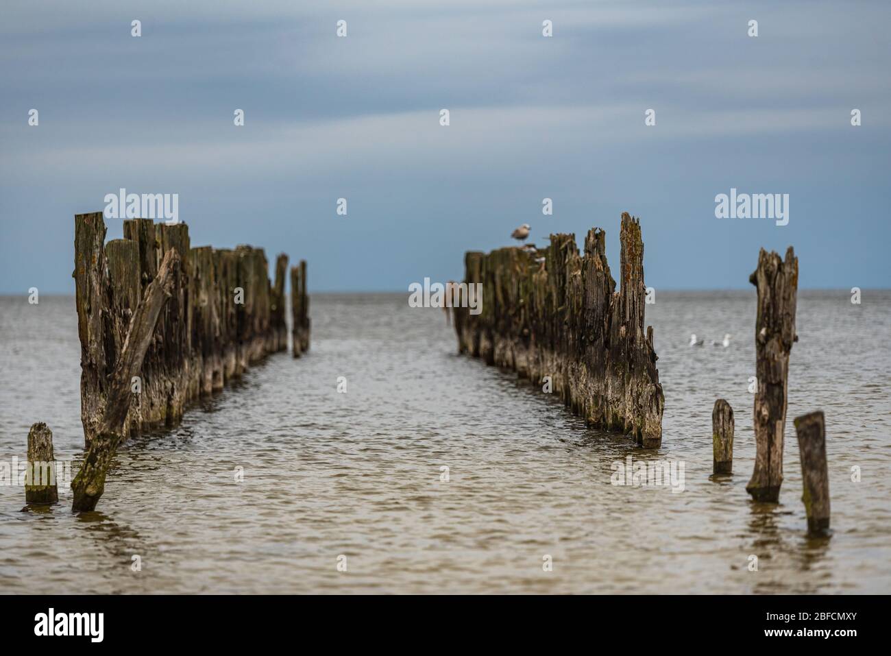 De vieilles amarres de bateaux sur les rives de la mer Baltique et des oiseaux de mer qui leur sont assis comme témoignage historique de la pêche passée Banque D'Images