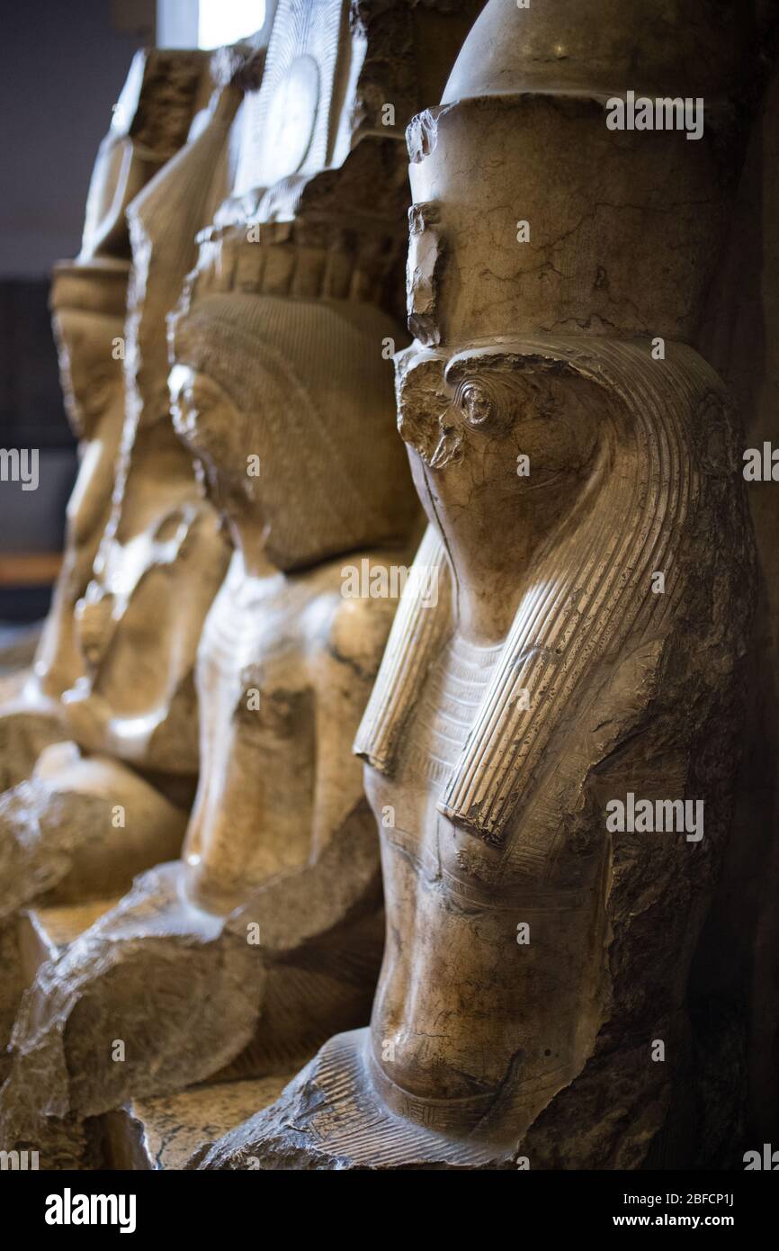 Statues d'Horus et d'autres à l'intérieur du Musée égyptien au Caire, Egypte. Banque D'Images