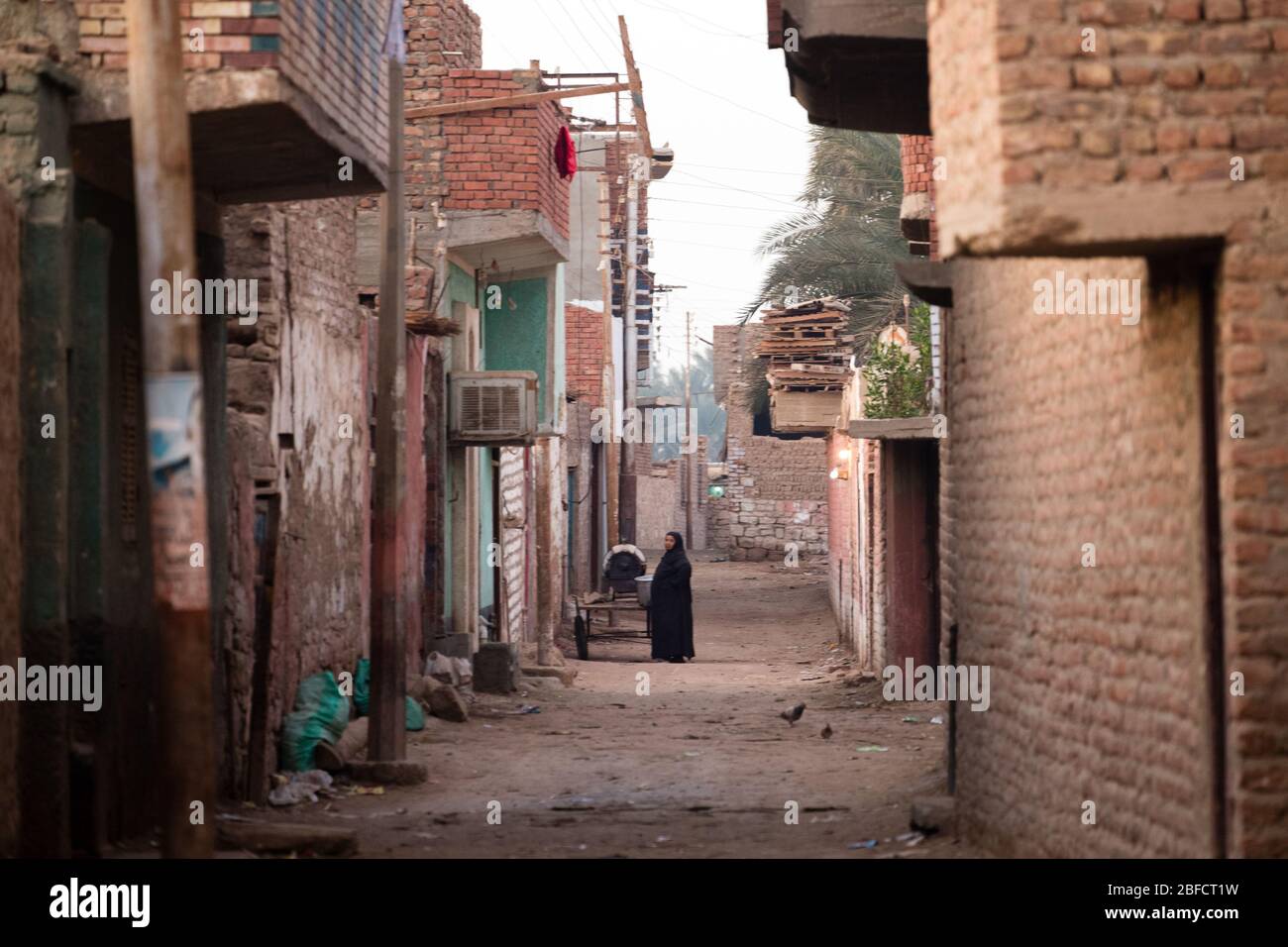 Village situé à l'arrière du marché animalier de Daraw, près d'Assouan, en Égypte. Banque D'Images