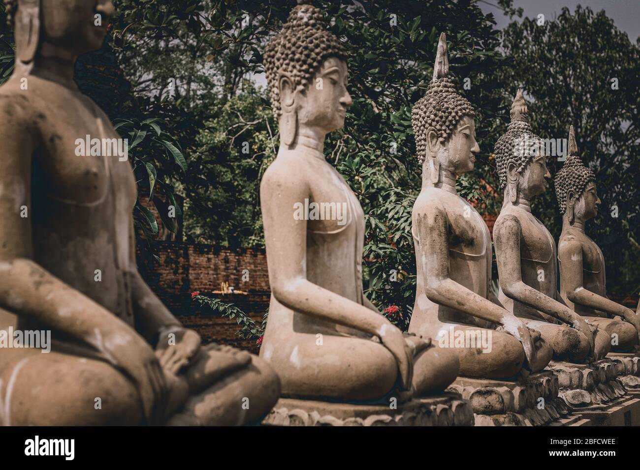Statues en pierre de Bouddha dans une rangée au célèbre parc historique d'Ayutthaya qui est une destination touristique populaire pour découvrir la culture, la religion et Banque D'Images