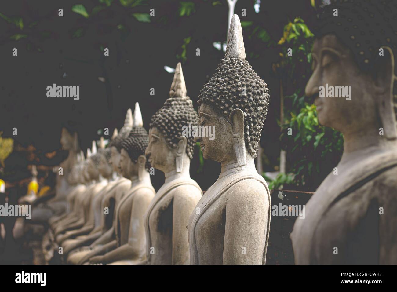 Statues en pierre de Bouddha dans une rangée au célèbre parc historique d'Ayutthaya qui est une destination touristique populaire pour découvrir la culture, la religion et Banque D'Images