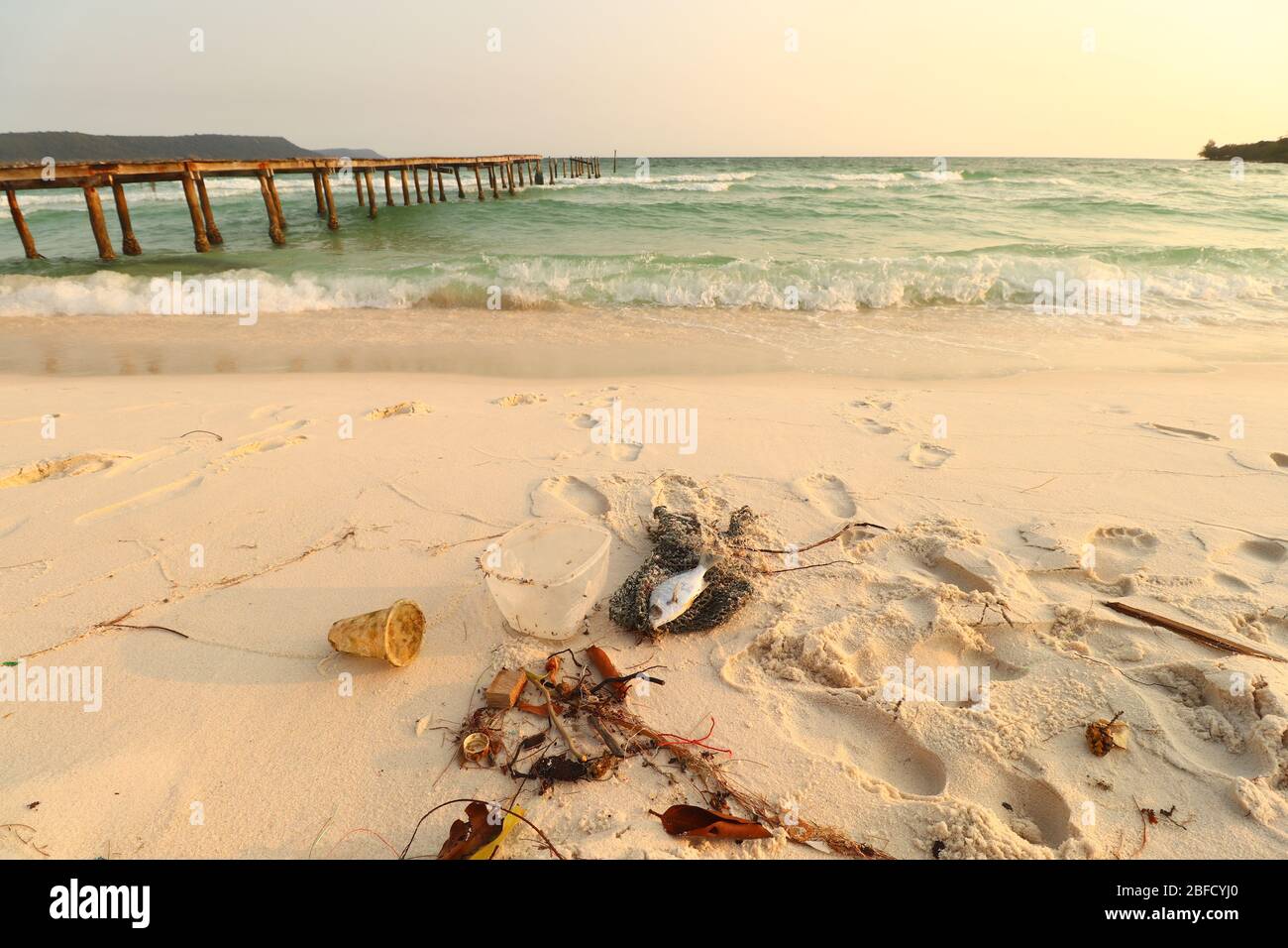 Déchets et poissons morts sur la plage de l'île de Koh Rong qui est une destination estivale populaire et qui montre l'étendue de la pollution de l'océan, l'environnement Banque D'Images