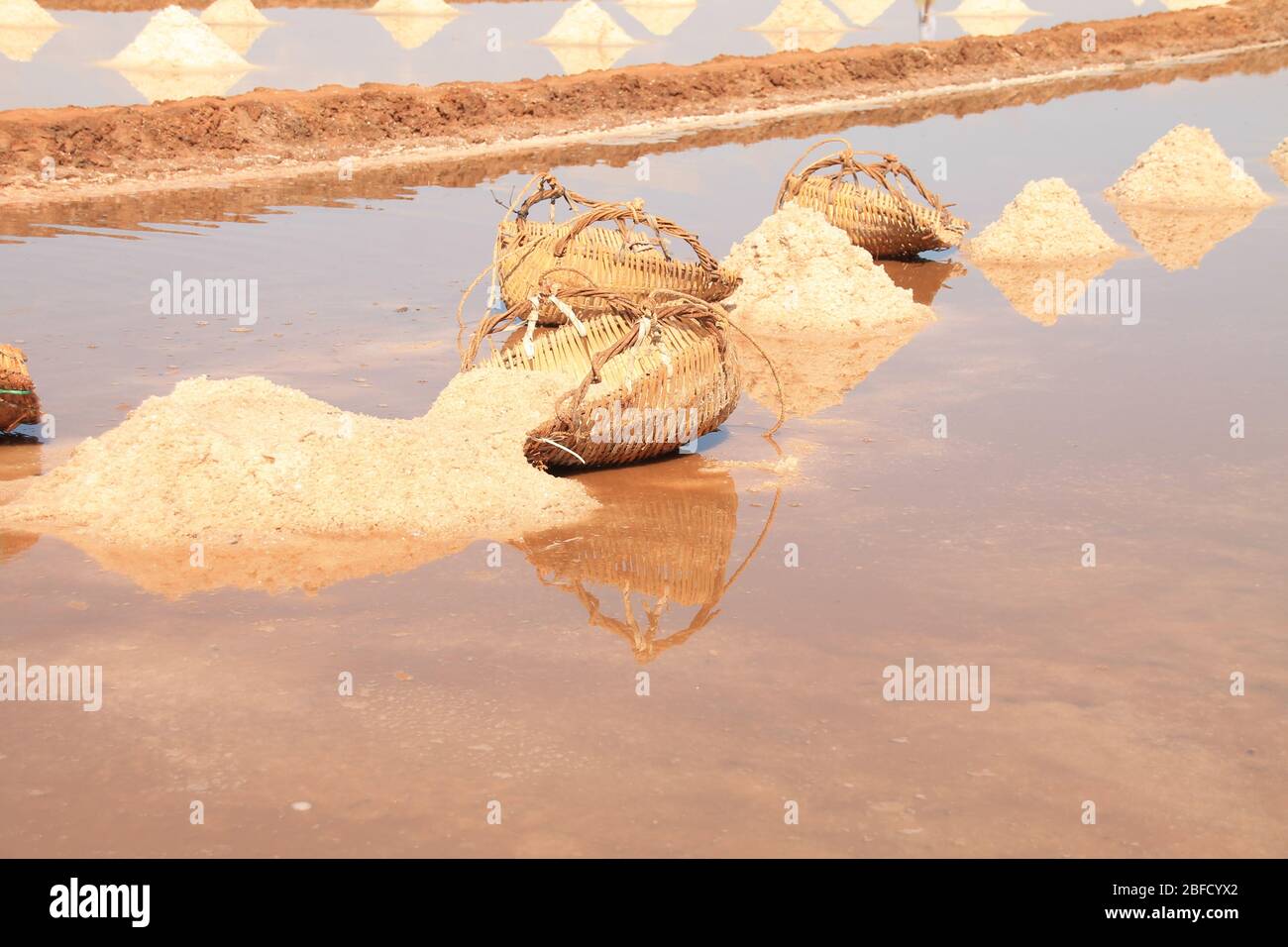 Magnifique paysage de campagne des célèbres champs de sel de Kampot pendant la saison de récolte qui montre la vie réelle, les moyens d'existence et la culture locale de Cam Banque D'Images