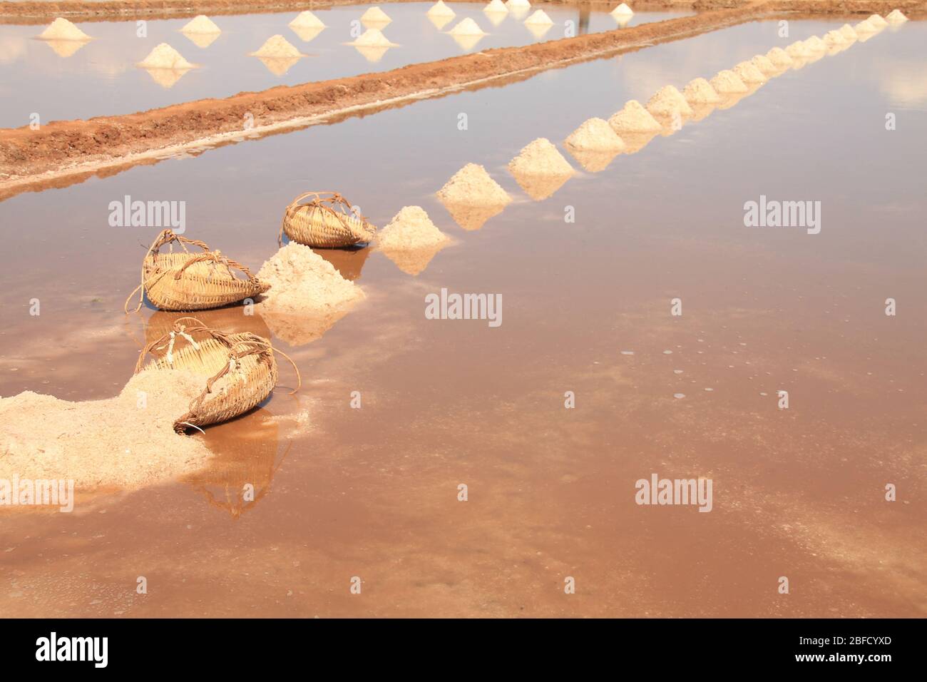 Magnifique paysage de campagne des célèbres champs de sel de Kampot pendant la saison de récolte qui montre la vie réelle, les moyens d'existence et la culture locale de Cam Banque D'Images