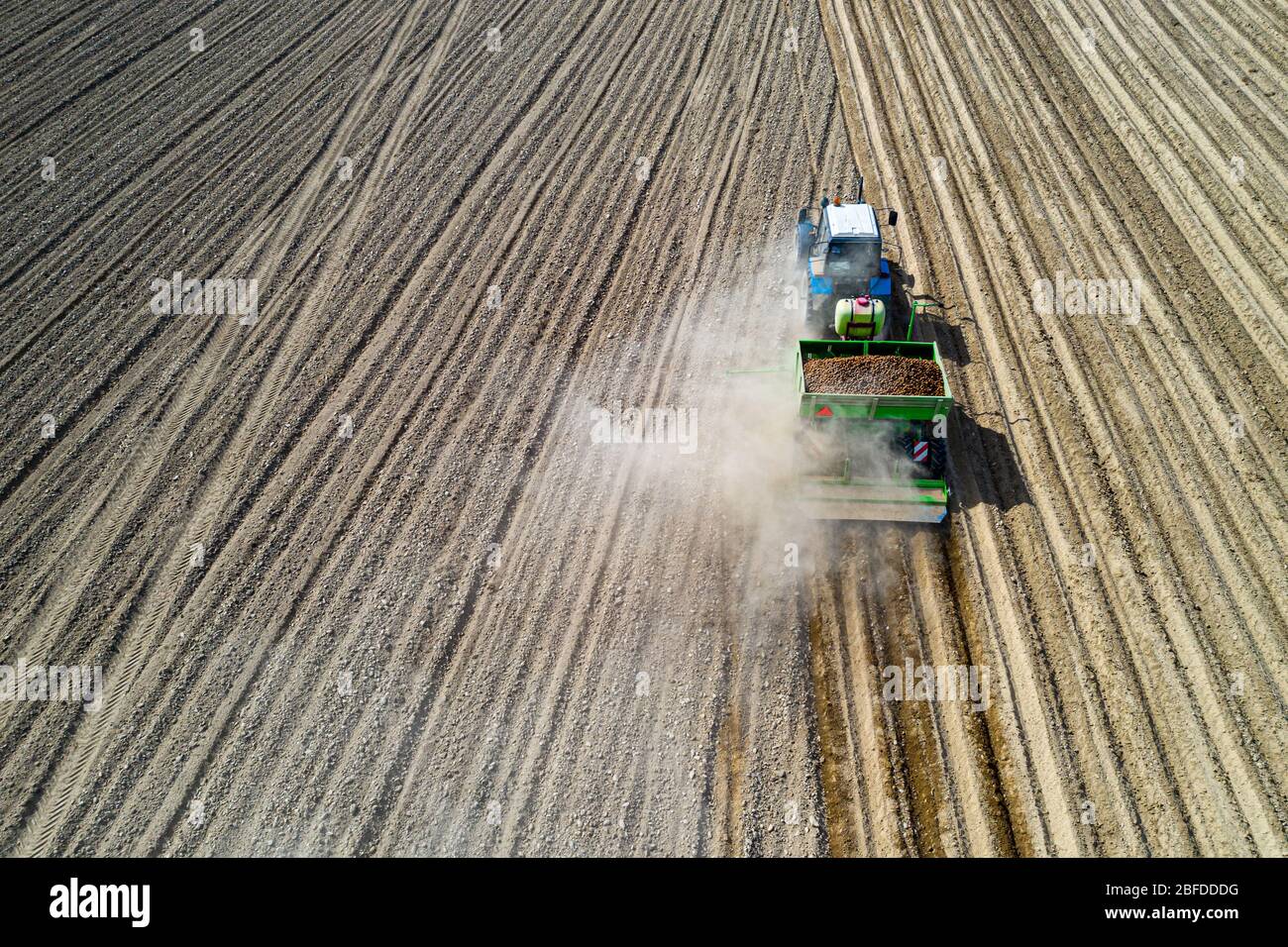 Plantation de pommes de terre. Préparation du sol, conflexion des plaies. Semis avec un semoir à pommes de terre. Banque D'Images