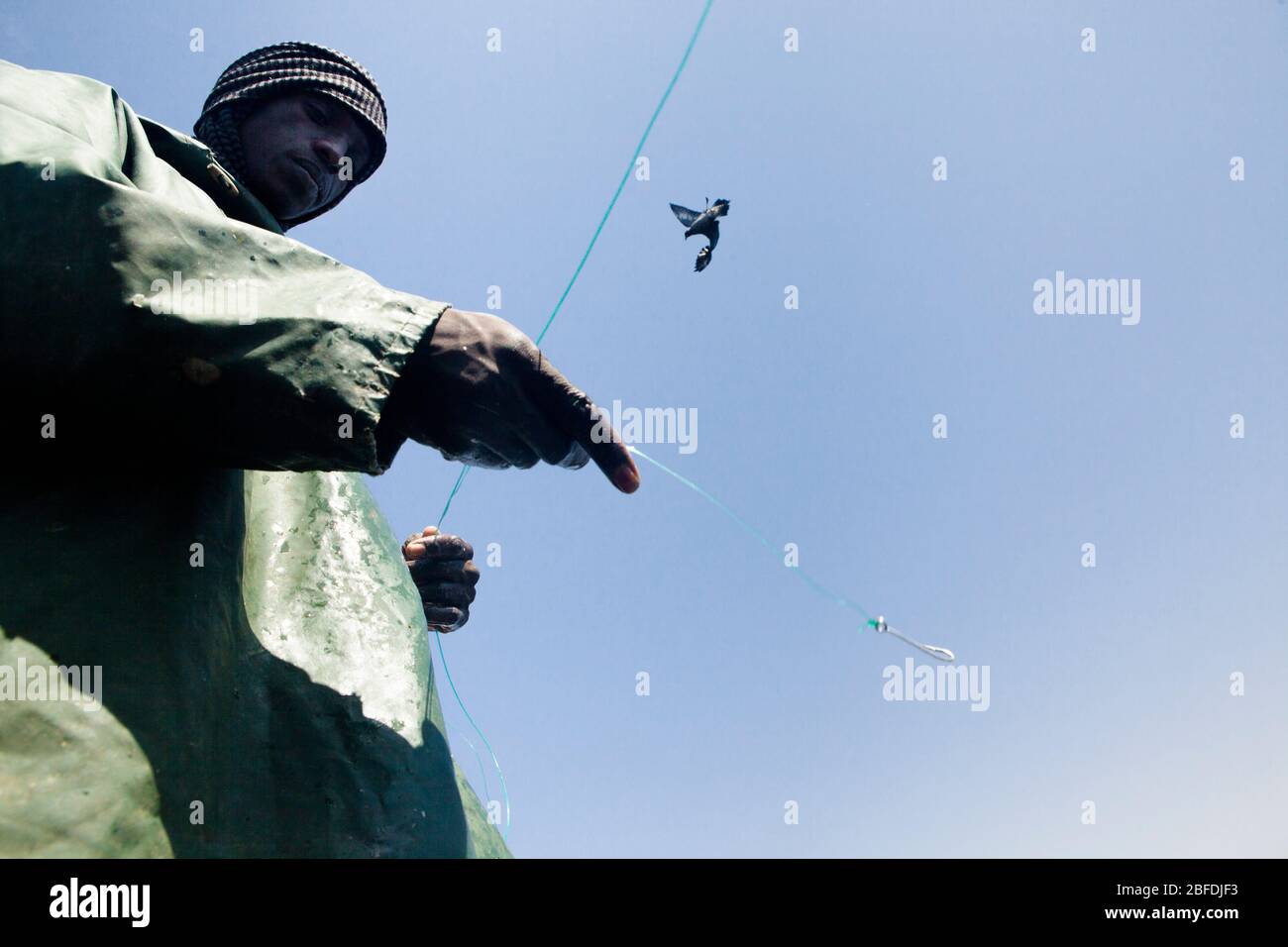 Un membre de l'équipage de pêche appâtant une longue ligne au large de la côte de Nouakchott, en Mauritanie. Banque D'Images