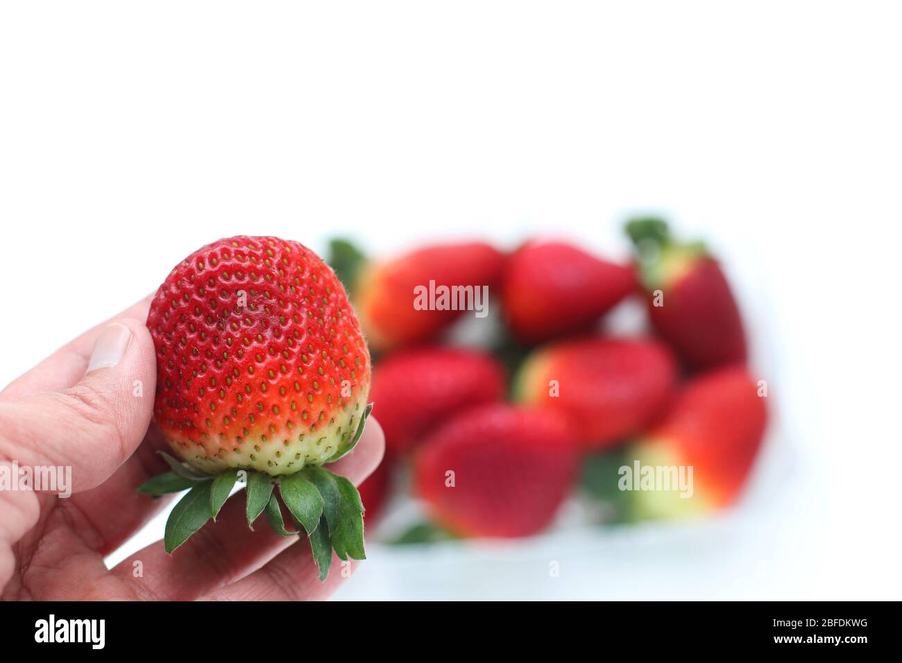 Gros plan de fraises fraîches isolées sur fond blanc Banque D'Images