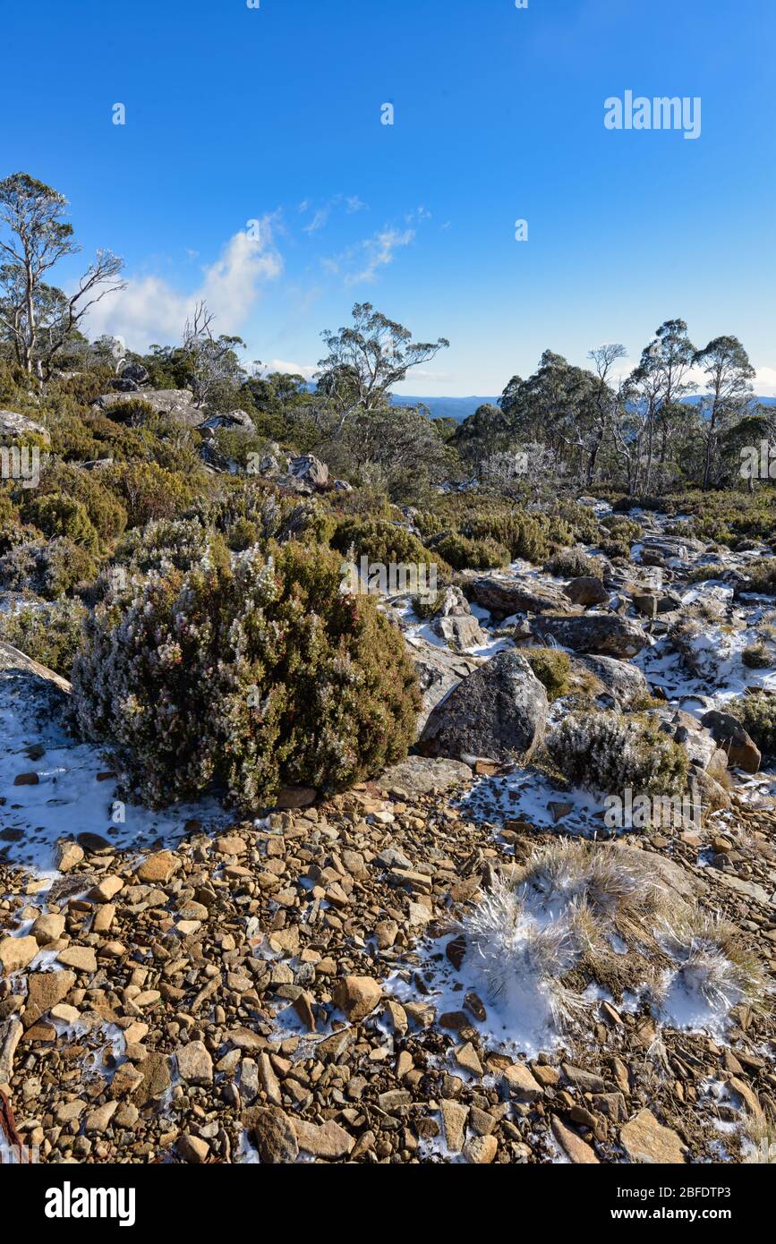 Vue de basse perspective sur la piste de randonnée surgelée sur les pentes de la deuxième montagne la plus haute de Tasmanie, Ben Lomond. Banque D'Images