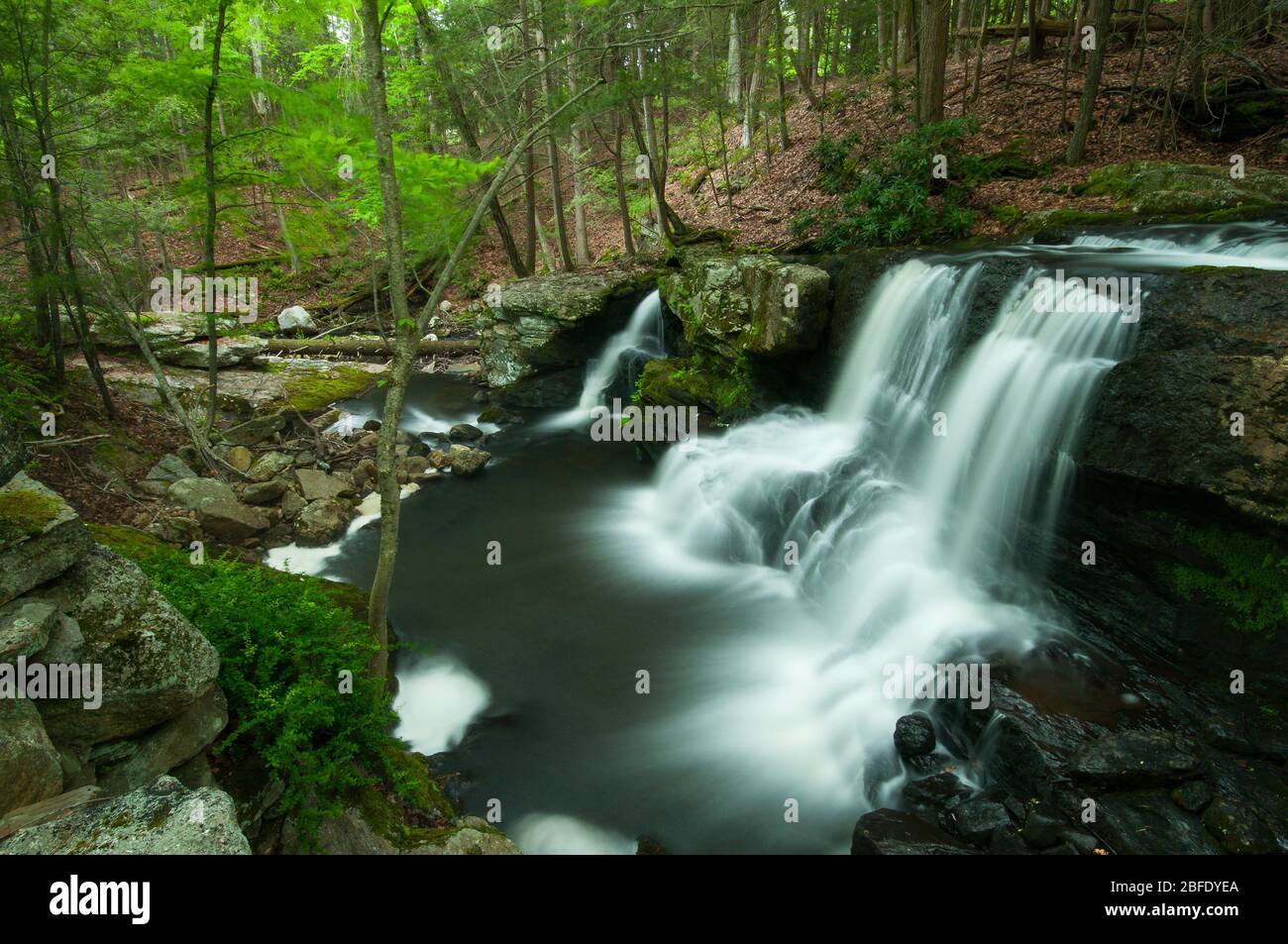 Des chutes d'eau s'écoulent sur une falaise dans les collines de Litchfield au Connecticut (parc national d'Humaston Brook, Litchfield, Connecticut) Banque D'Images