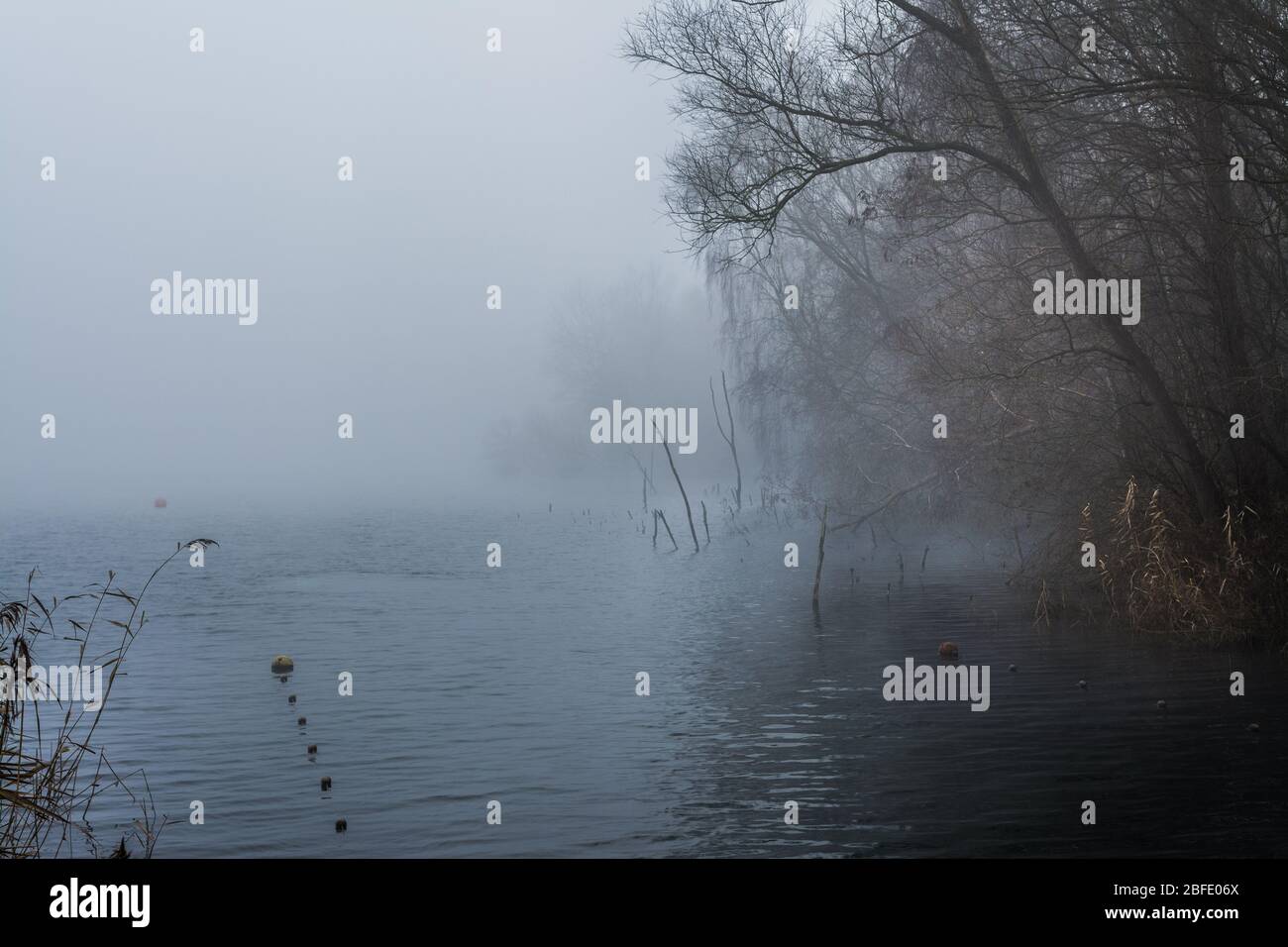 Vue sur un lac en début de matinée avant le lever du soleil avec brouillard matinal sur l'eau - paysage bleu et mystique Banque D'Images