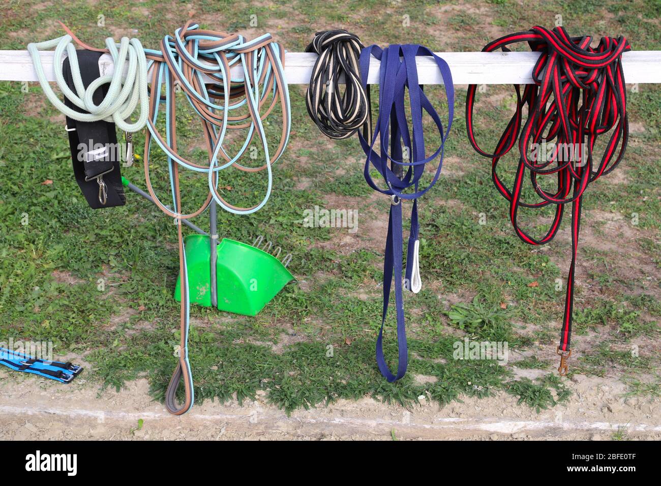 Groupe de divers accessoires colorés pour les sports équestres Banque D'Images