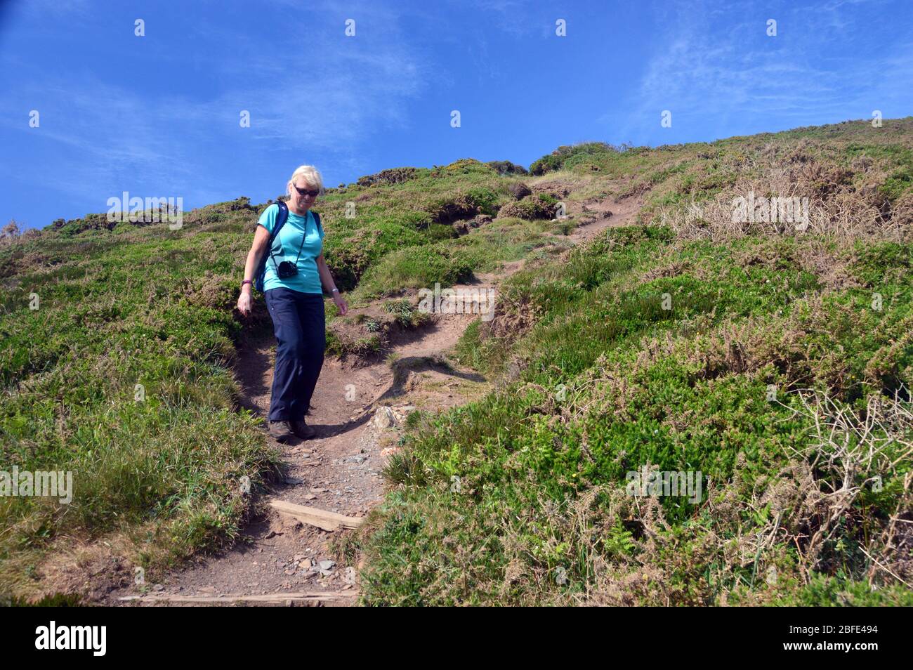 Lone Single Woman Hiker marchant sur des marches escarpées en bois jusqu'au Footbridge à Scrade Beach sur le sentier de la côte sud-ouest, North Cornwall, Angleterre, Royaume-Uni. Banque D'Images