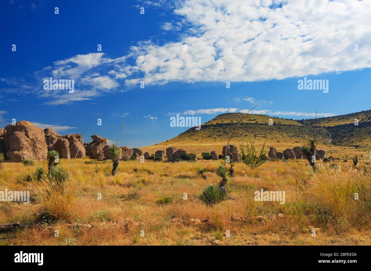 Paysage au parc national de la ville des Rocks au Nouveau-Mexique, États-Unis montrant des rochers et des pinacles formés par une éruption volcanique de la caldeira d'Emory Banque D'Images
