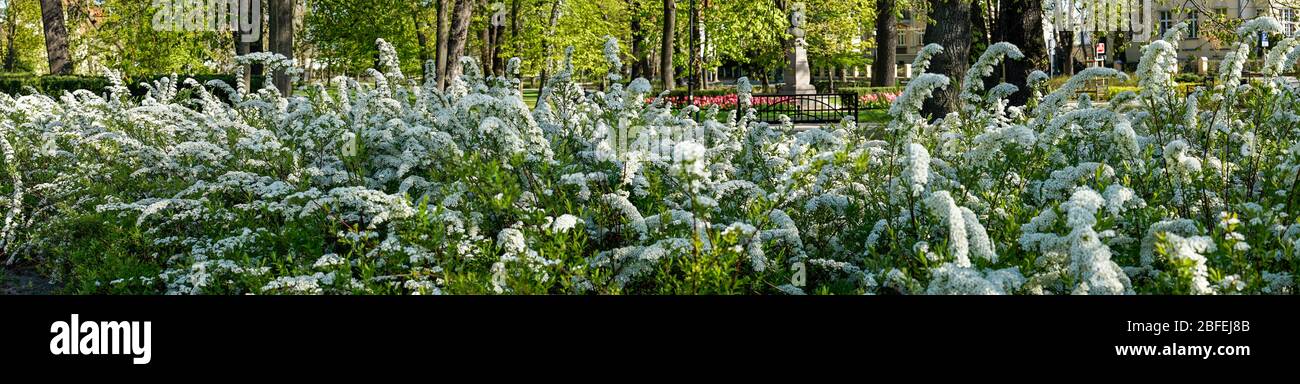Poznan, Wielkopolska, Pologne. 18 avril 2020. Le samedi matin à Poznan. En Pologne, il y a des limites dans le fonctionnement quotidien en raison de la pandémie de coronavirus et bien que le temps soit assez bon et le printemps est tentant, les gens sont raisonnables et restent à la maison. L'entrée aux parcs est interdite. Le 20 avril prochain, le premier assouplissement des restrictions liées à l'épidémie en Pologne - la « nouvelle normalité » est le nom de nouvelles mesures prises par le gouvernement polonais. Crédit: Dawid Tatarkiewicz/ZUMA Wire/Alay Live News Banque D'Images