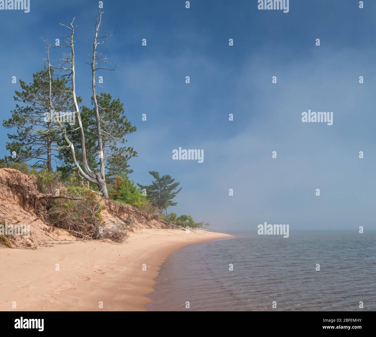 Une longue plage de sable avec des arbres au-dessus de lui se courbe vers l'horizon et disparaît dans l'eau sous un ciel bleu avec du brouillard. Banque D'Images