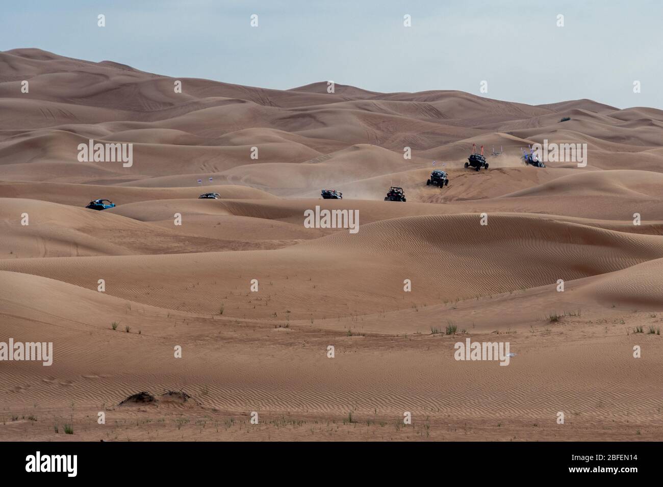 Des buggies dans un safari dans le désert Banque D'Images