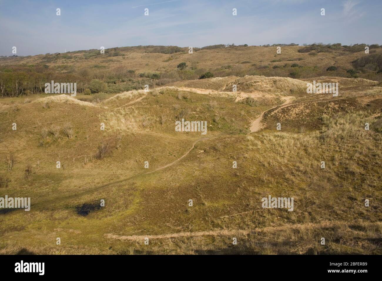 Dunes couvertes d'herbe avec sentiers de sable dans la réserve naturelle de Merthyr Mawr au printemps Banque D'Images